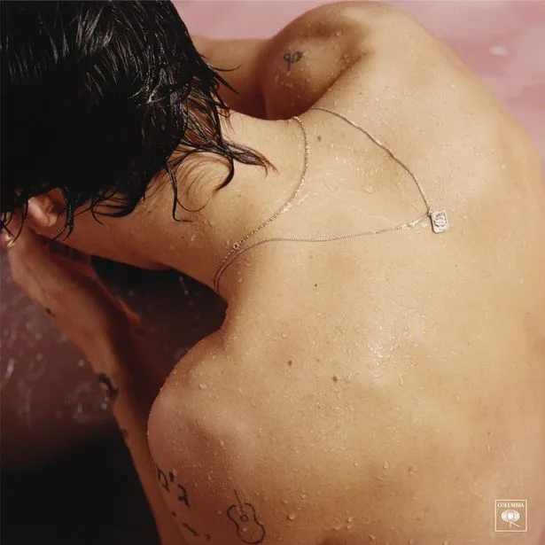 Mirip, cover artwork album solo Harry Styles disebut meniru 'OCEAN PIE' Shed Seven © Mirror.co.uk/Columbia Records