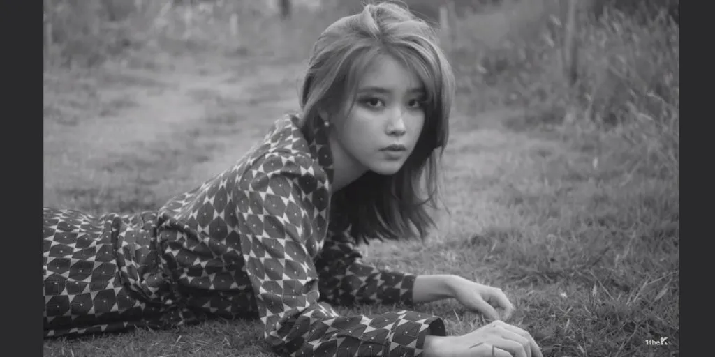 IU - The Visitor (Terjemahan)