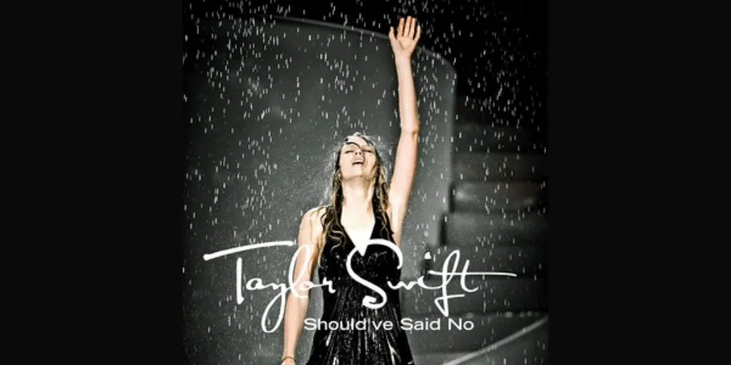 Taylor Swift - You Should've Said No (Terjemahan)