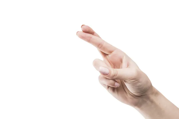 (credit: freepik.com)