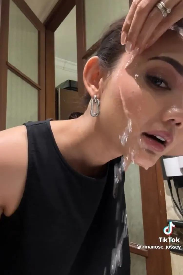 (Sumber: Tiktok/ @rinanose_josscy)