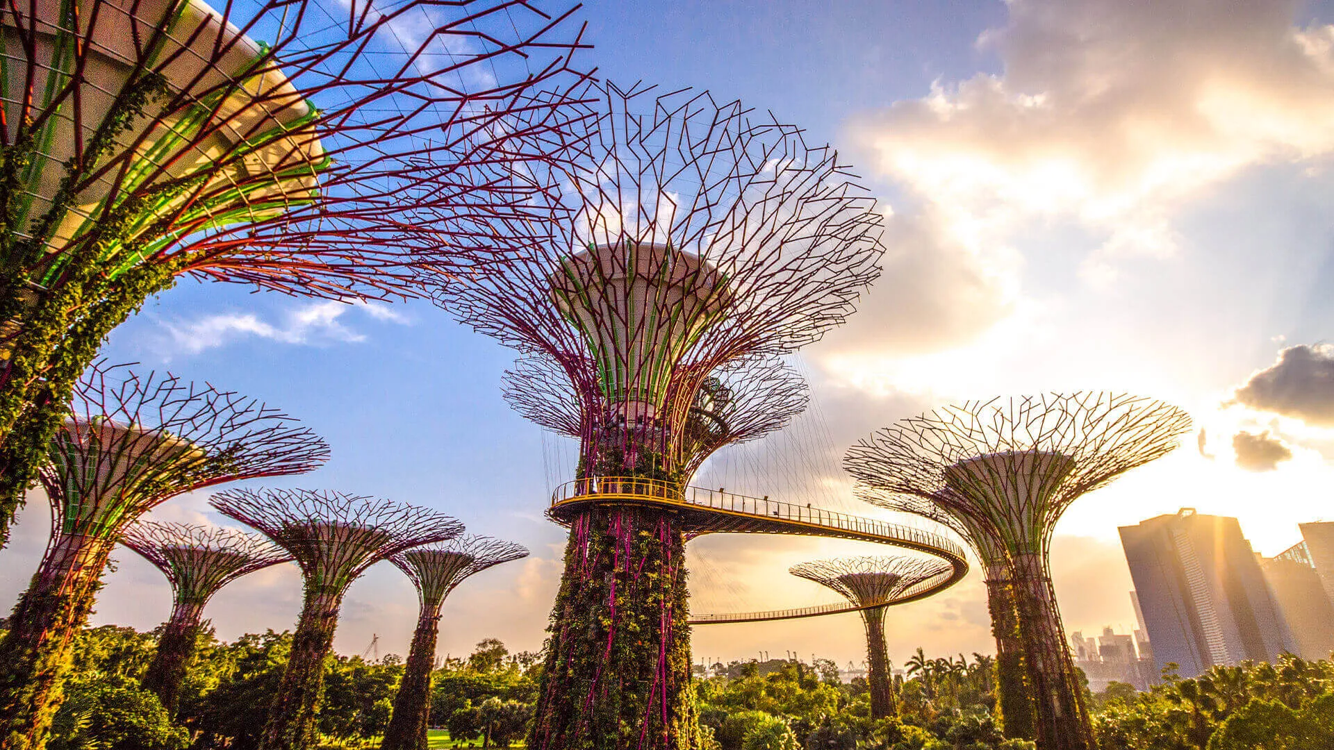 Source: Gardens By The Bay