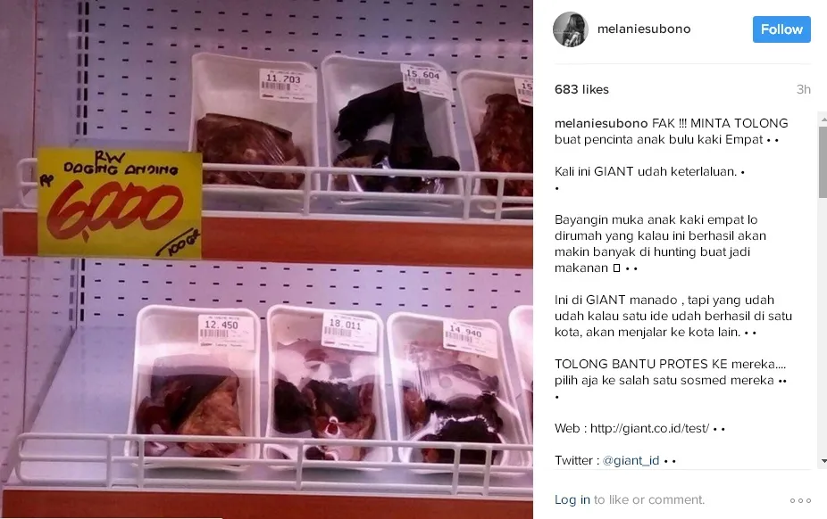 Melanie memprotes penjualan daging anjing © instagram.com/melaniesubono