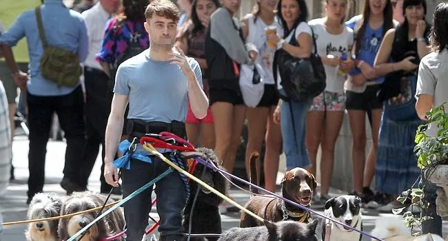 Daniel Radcliffe sebagai penggembala anjing @ istimewa