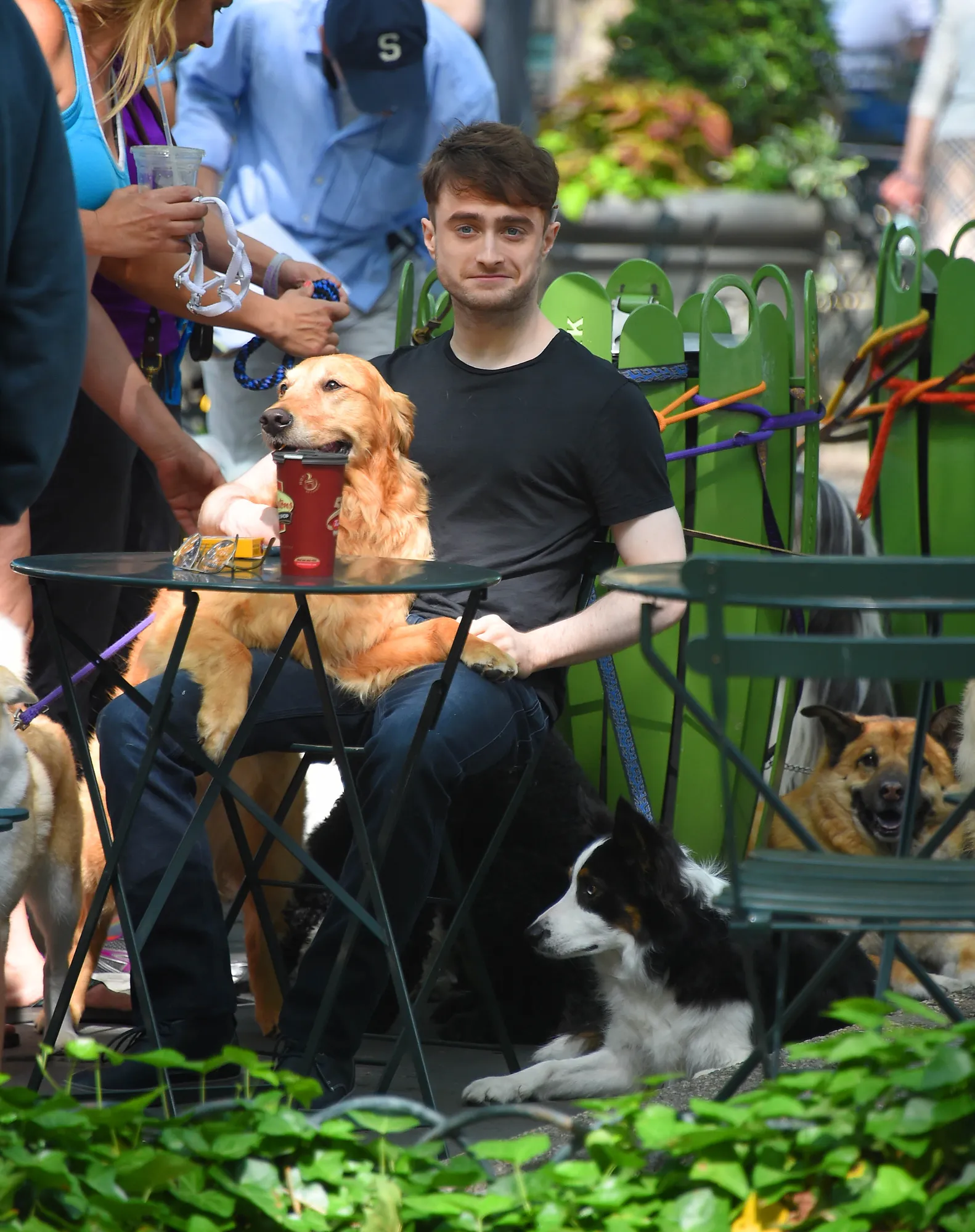 Daniel Radcliffe © Splashnews/Josiah W