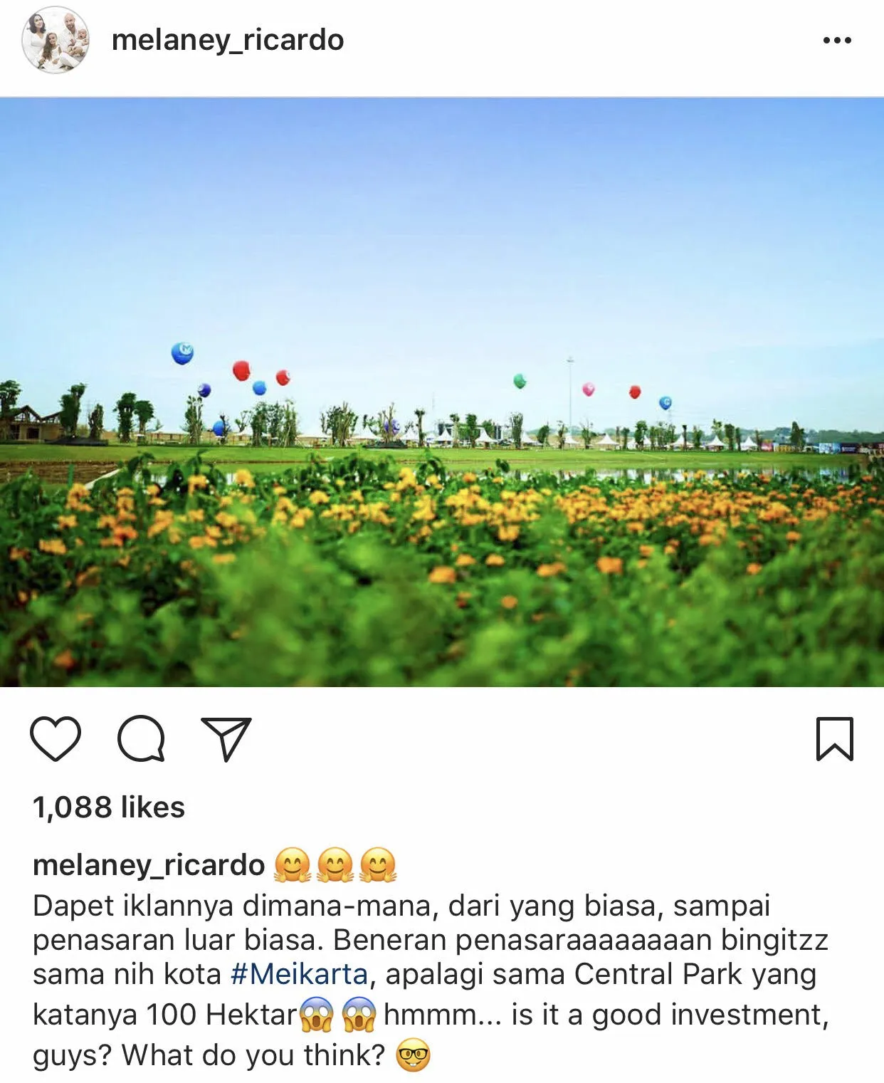 ©instagram / melaney_ricardo