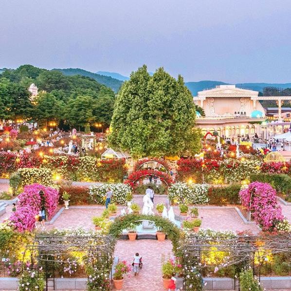 ?nstagram/witheverland