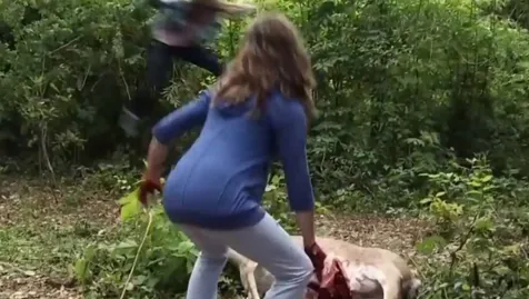 Film DEVIL'S DUE @foto: 20th Century Fox