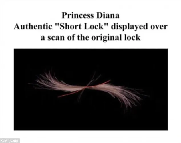 Inilah penampakan rambut Putri Diana yang dijual Rp 16 juta © Amazon