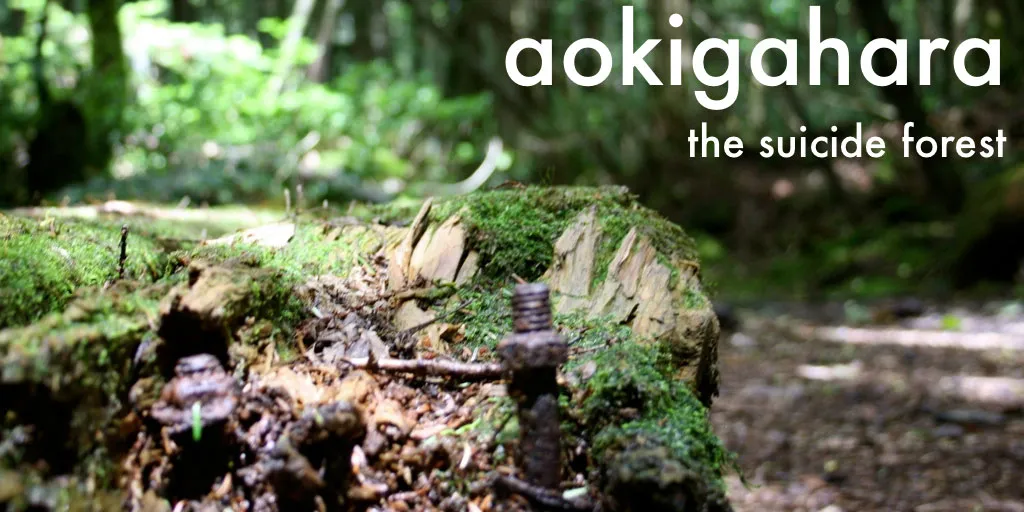 AOKIGAHARA / SUICIDE FOREST (2012)
