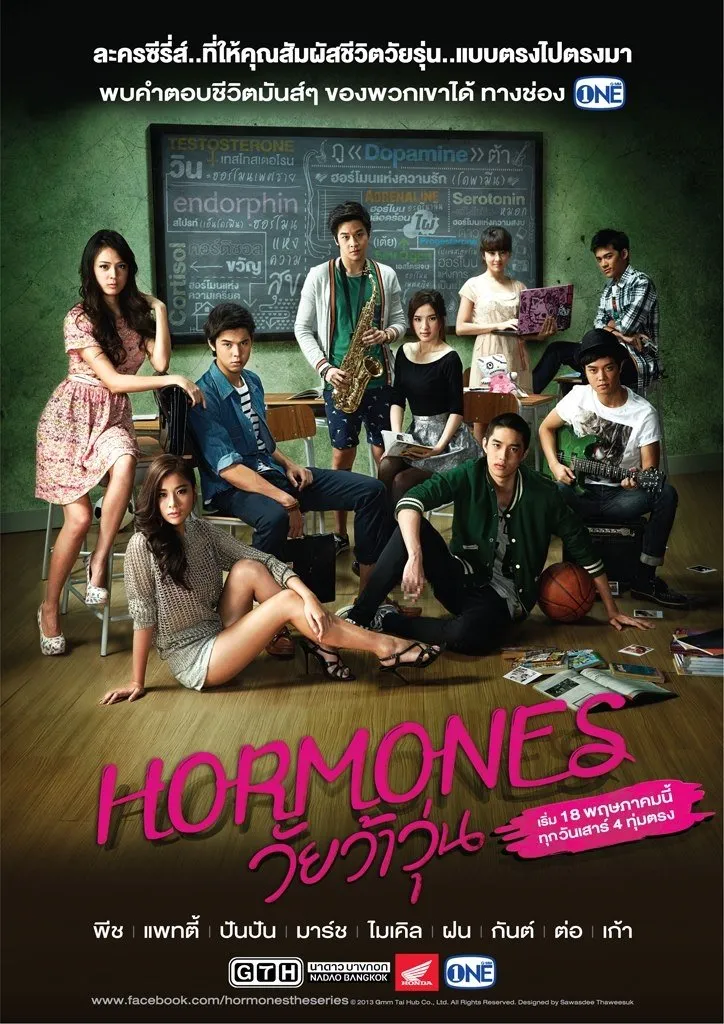 HORMONES (2013)