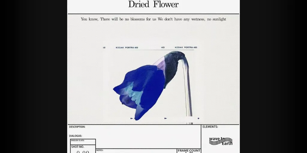 wave to earth - Dried Flower (Terjemahan)