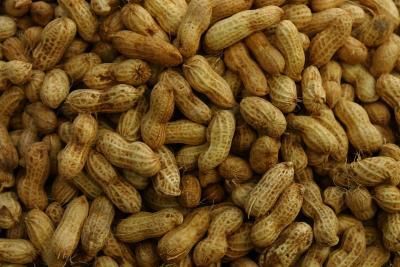 Illustration of Boiled Peanuts (Source: Thinkstock/Stockbyte/Getty Images)