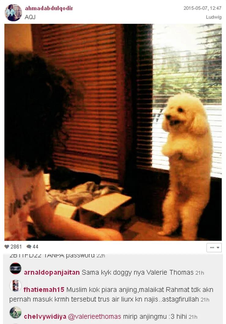 Dul Instagram @foto: Instagram/ahmadabdulqodir