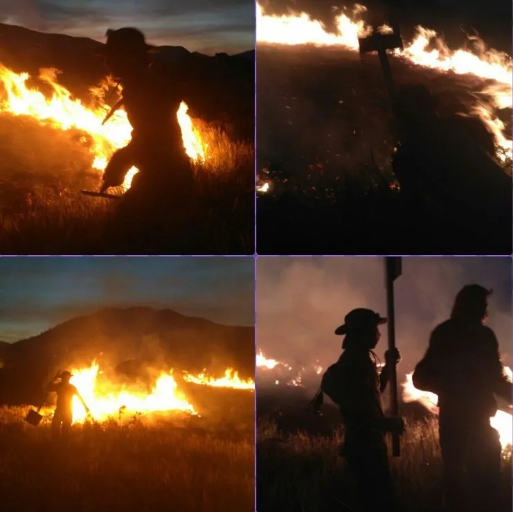 Petugas Berupaya Memadamkan Api © Twitter @Sutopo_BNPB