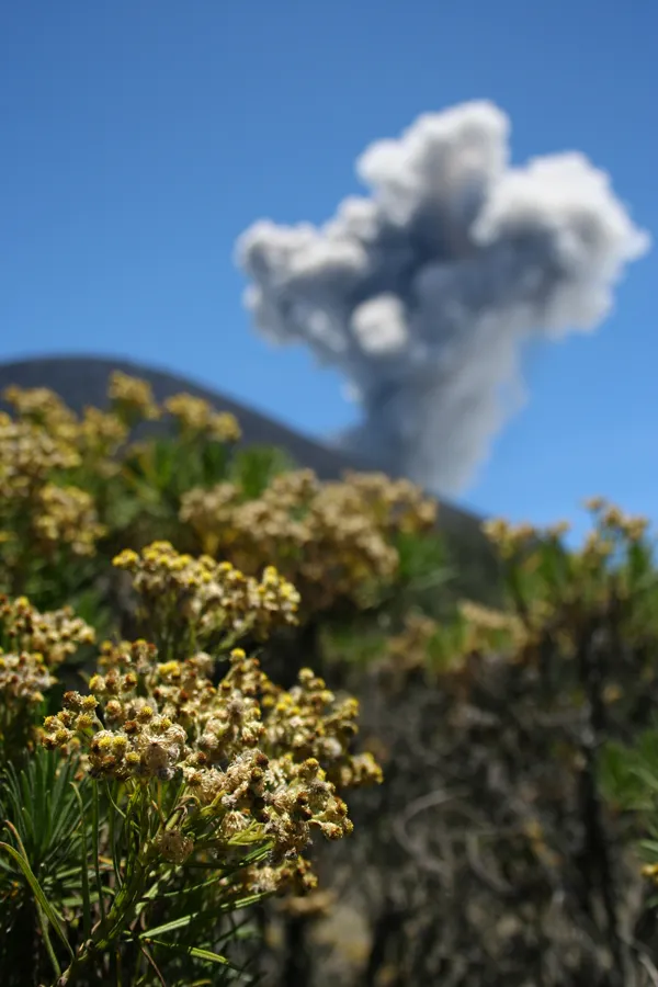 menangkapwaktu.blogspot.com