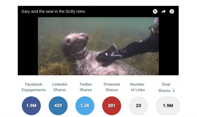 Singa laut lucu ini juga berhasil masuk di 15 besar top share content lho! (Credit: Buzzsumo)