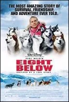 Paul Walker Eight Below Kisah Anjing Pemberani Kapanlagi Com