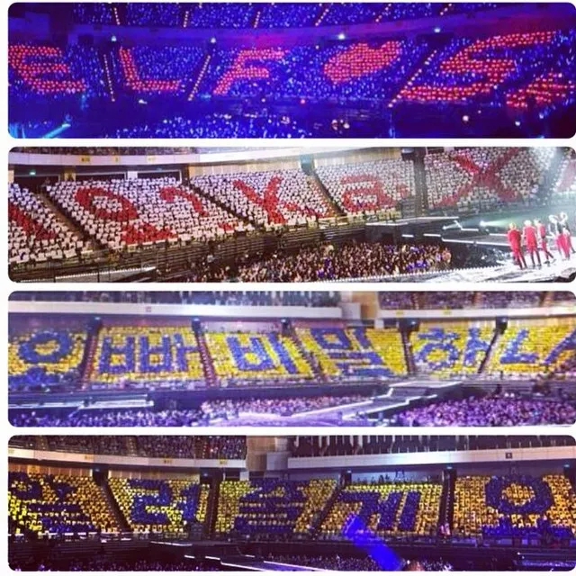 Project ELF Indonesia