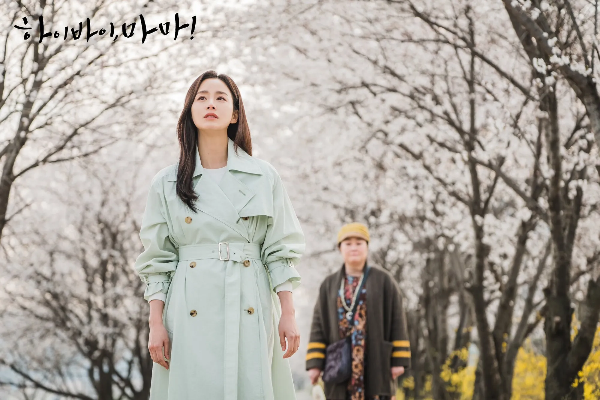 Kim Tae Hee (credit: twitter.com/CJnDrama)