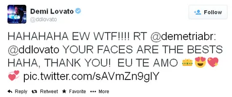 Balasan Tweet Demi Lovato Kepada Fansnya @ twitter.com/ddlovato