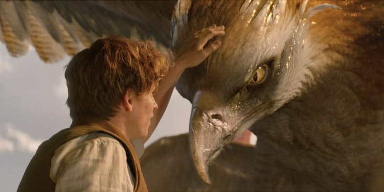 FANTASTIC BEASTS AND WHERE TO FIND THEM © Screenrant
