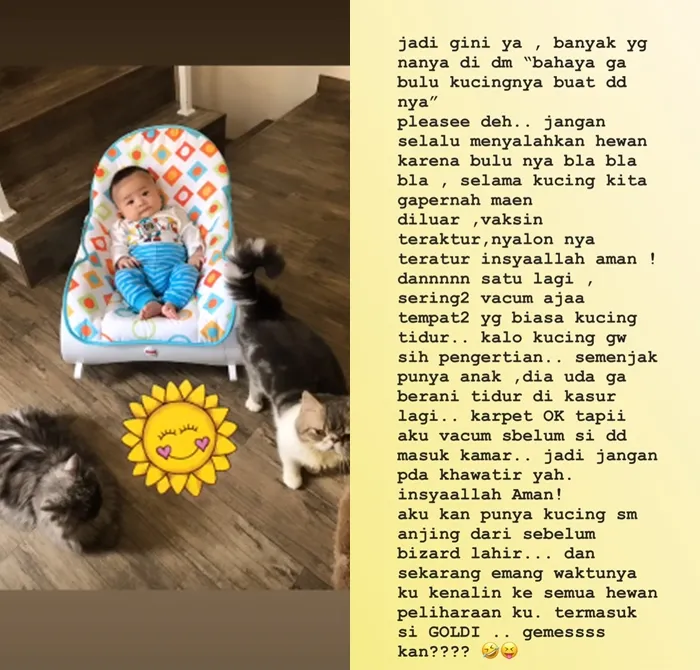 © instagram.com/selvikitty