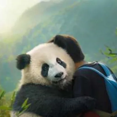 Film MOON THE PANDA 2025 - Sinopsis, Pemeran, dan Fakta Menariknya