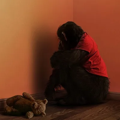 Film PRIMATE 2026: Sinopsis, Pemeran, dan Fakta Menarik yang Bikin Merinding!