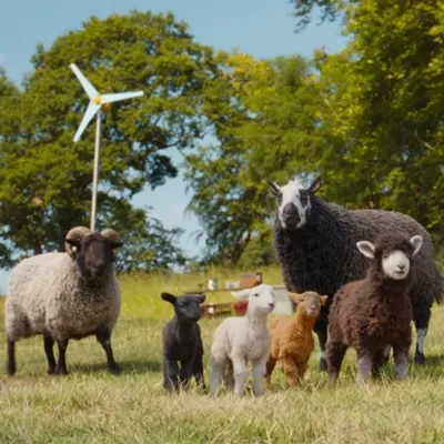 Film THE SHEEP DETECTIVES - Sinopsis, Pemeran dan Fakta Menarik