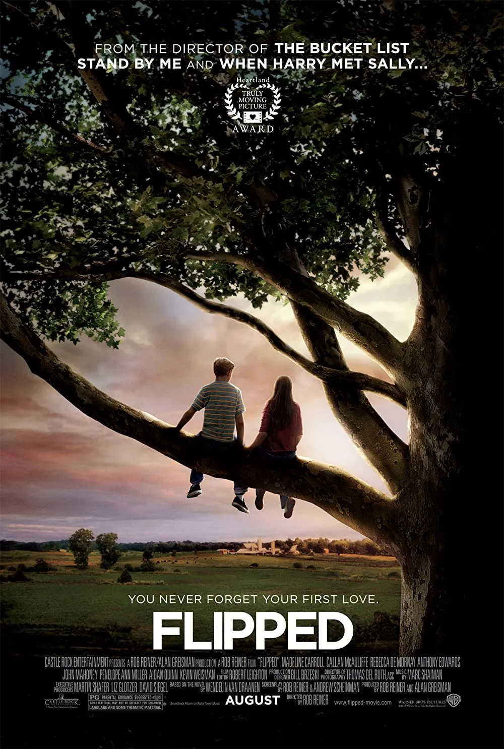 FLIPPED (2010)