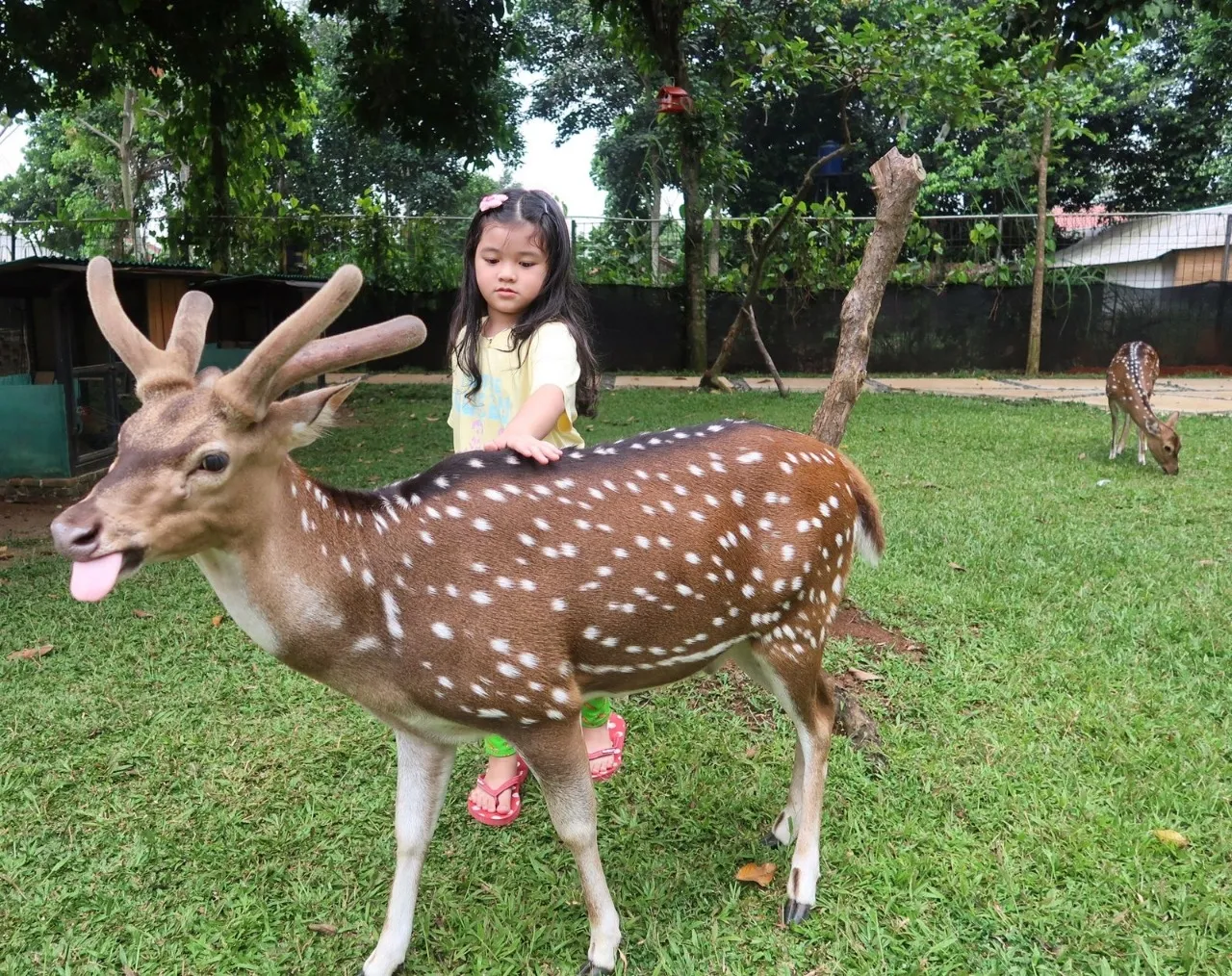 Adinda Marsya Tetap Sempat Quality Time Bareng Anak (Credit: istimewa)