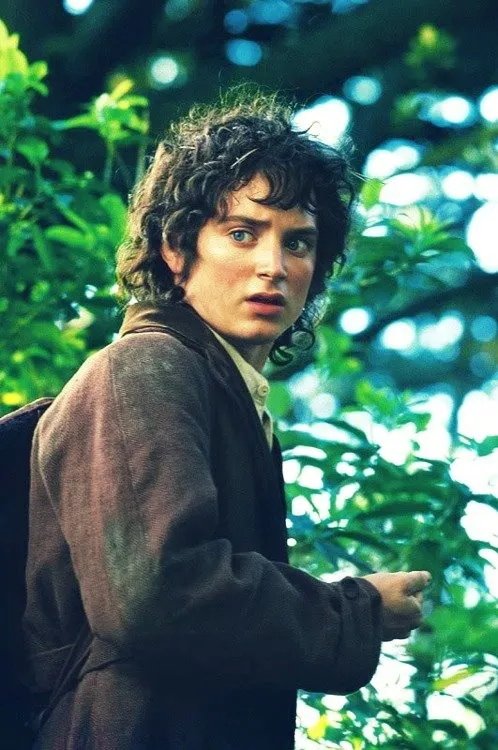 Elijah Wood sebagai Frodo Baggins @ listal.com