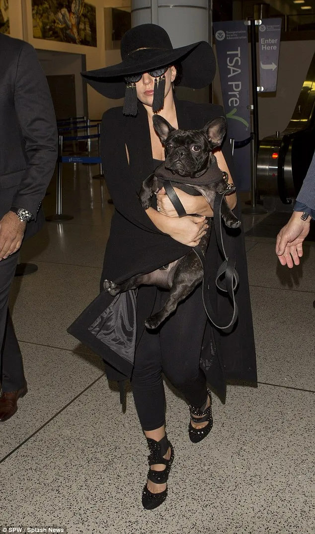 Gaga dengan outfit dan berbagai aksesoris uniknya ©splashnews.com