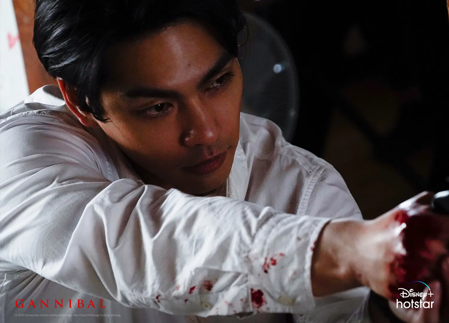 serial psycho thriller 'GANNIBAL' © Disney+ Hotstar