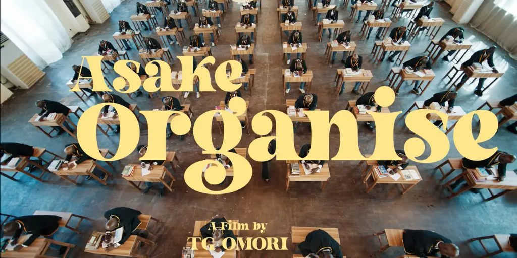 Asake - Organise