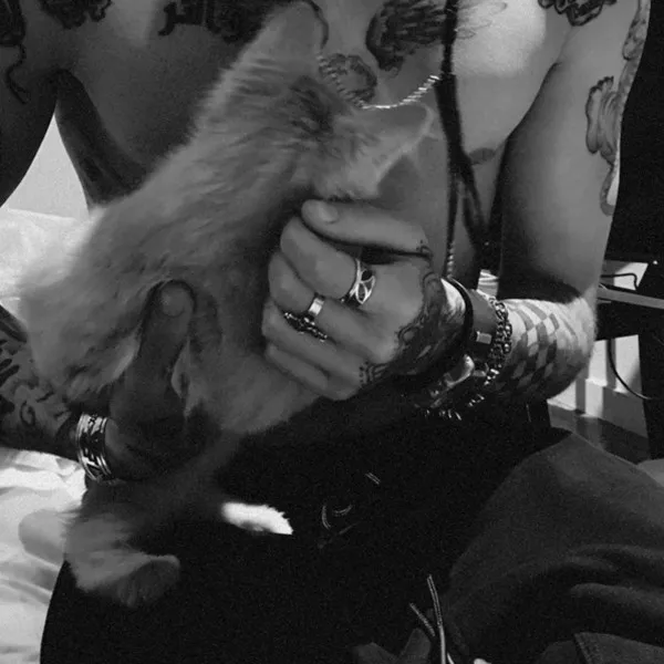 Inikah bukti jika Zayn dan Gigi benar-benar pacaran? © instagram.com/gigihadid