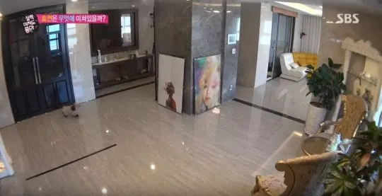 Luas dan rapi ya rumahnya © SBS