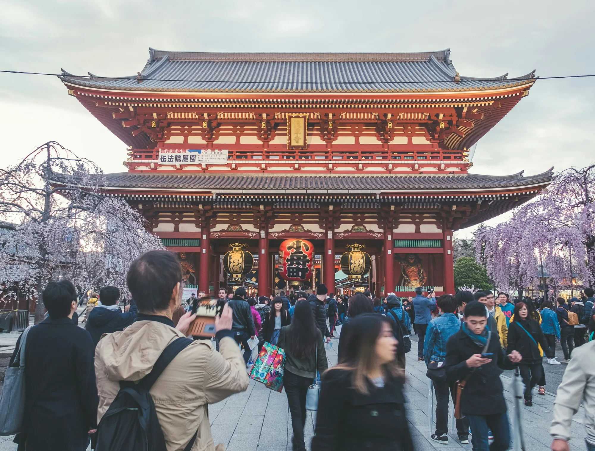 Gomenasai (credit: unsplash)