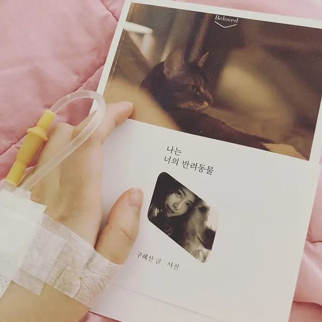 instagram.com/kookoo900