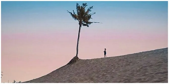 Gumuk Pasir ini terletak di antara Pantai Depok dan Pantai Parangtritis.