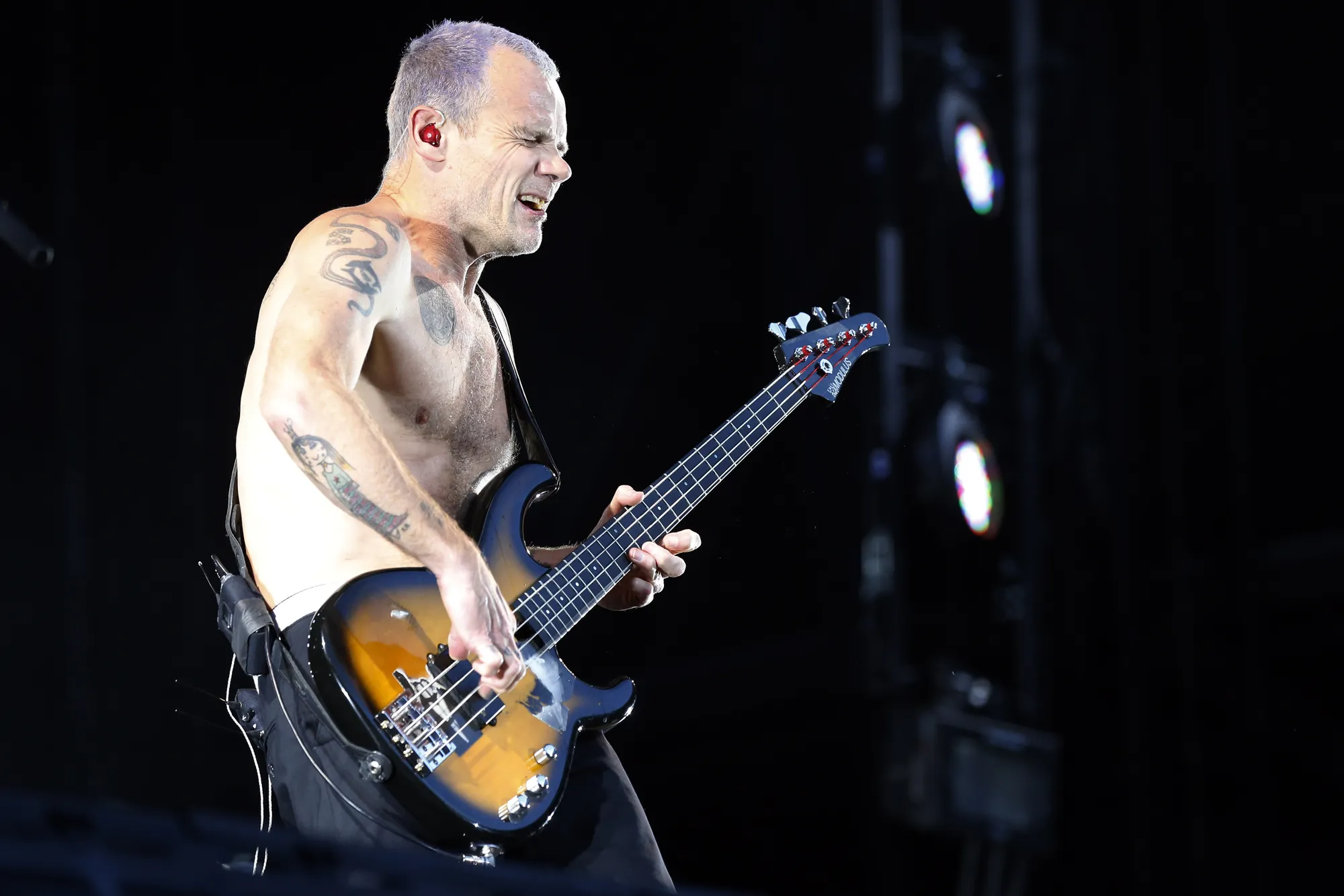Flea Bassis Red Hot Chili Peppers