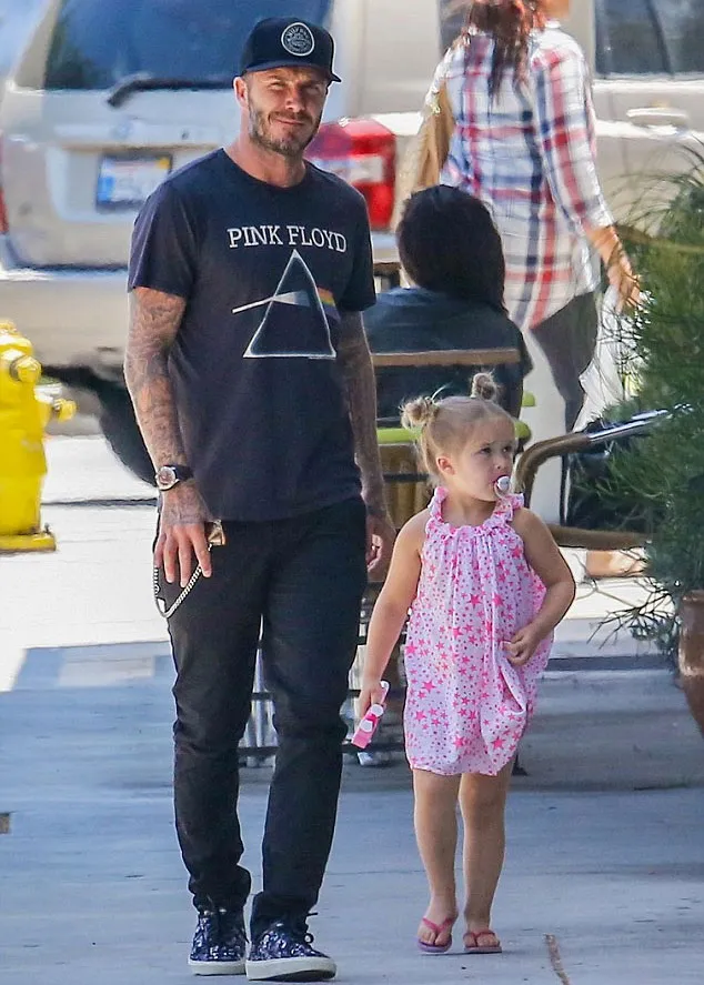 David Beckham dikritik karena memberi dot anaknya © Daily Mail
