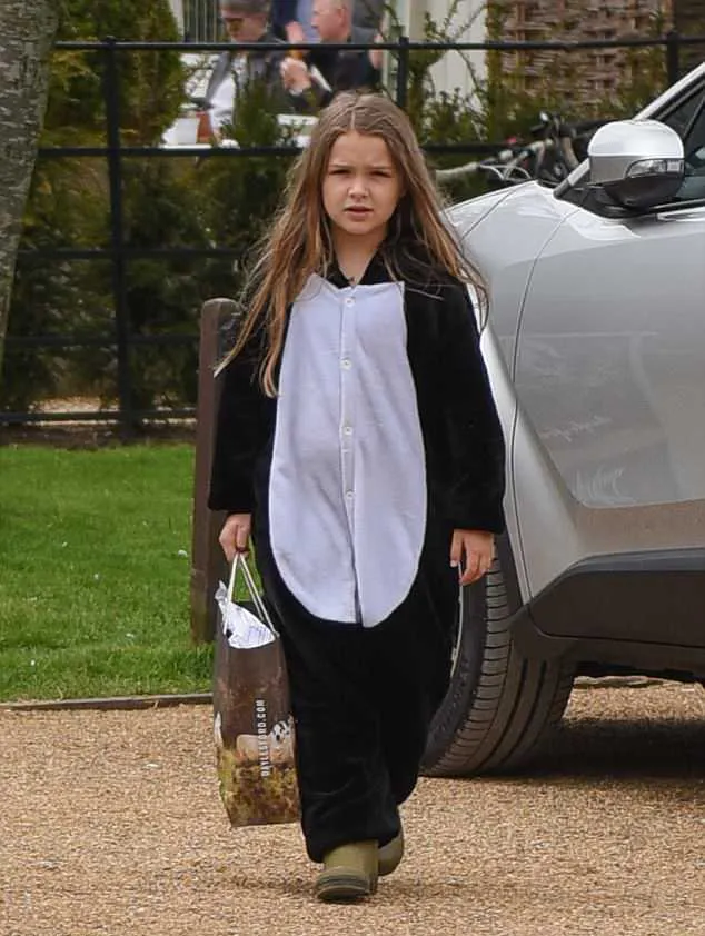 Harper kenakan onesie yang menyerupai penguin © GlosPics via dailymail.co.uk