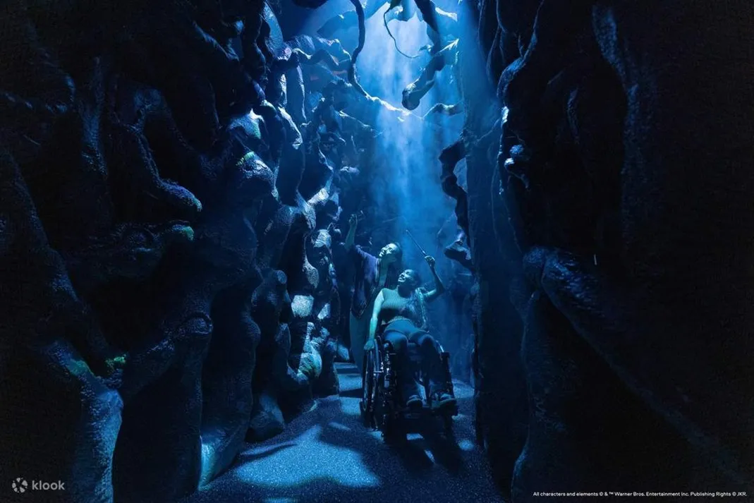 Harry Potter: Visions of Magic. (©Warner Bros)