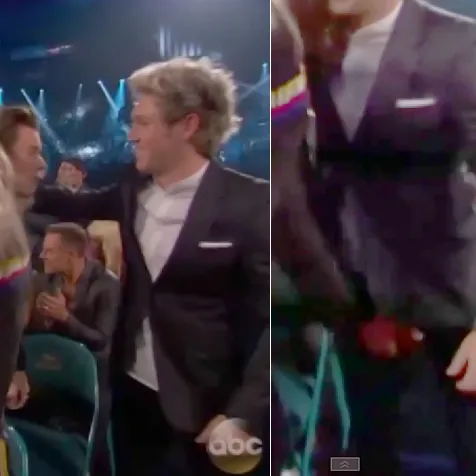 Harry Styles meremas Niall Horan © TMZ/youtube
