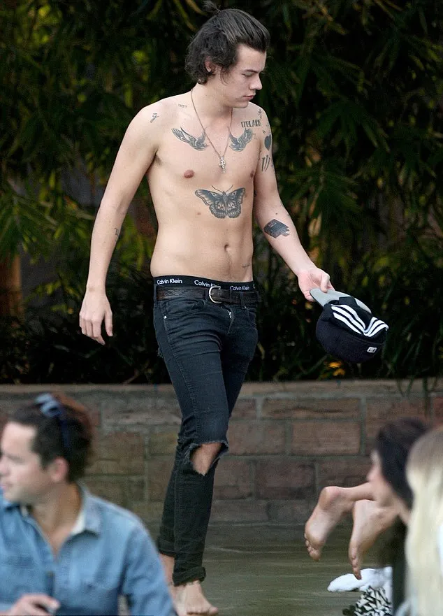 Harry Styles @ dailymail.co.uk
