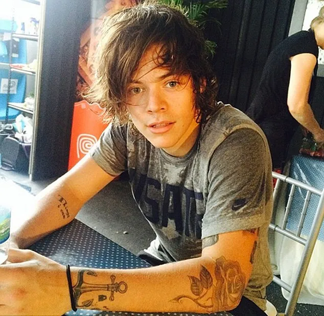 Harry Styles @ dailymail.co.uk