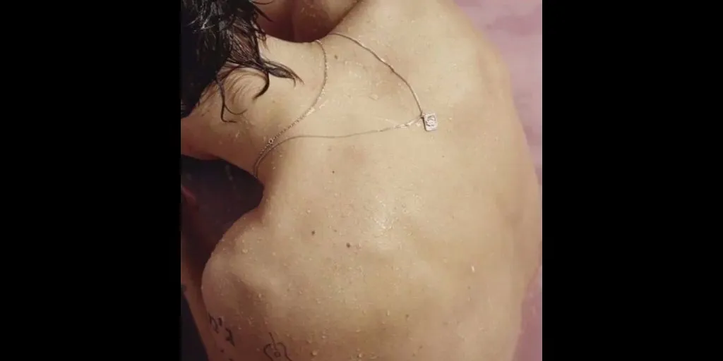 Harry Styles - Ever Since New York (Terjemahan)