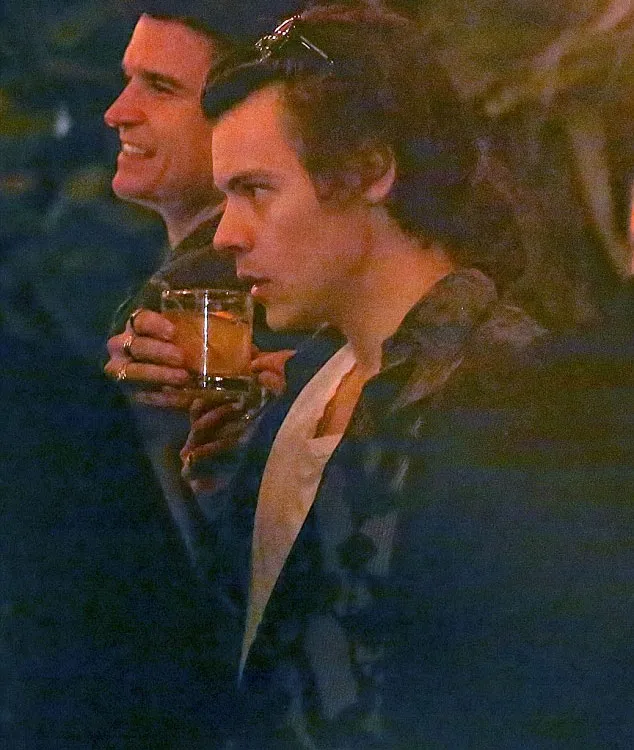 Harry Styles gelar pesta ulang tahun ke-23 © via dailymail.co.uk